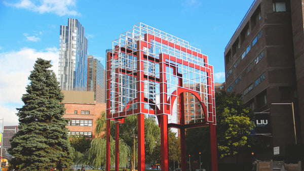 Long Island University - Brooklyn